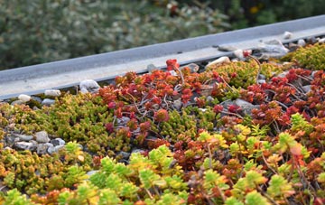 the cost of Linthorpe green roof installation