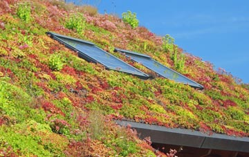 Linthorpe living roof systems