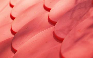 Linthorpe plastic roof costs