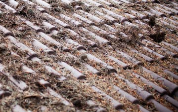 Linthorpe roof cleaning companies