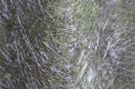 Linthorpe fibreglass roof work