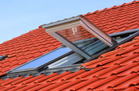 Linthorpe roof window